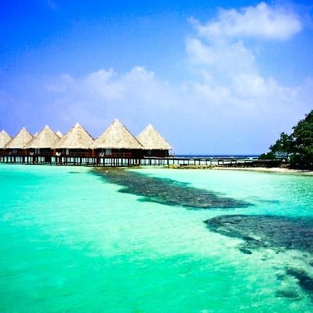 Velidhu Island Resort Alif Alif Atoll Eksteriør billede
